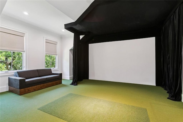 204 Vincent Ave, Metairie, LA 70005 - home theater with golf simulator, carpet flooring, and recessed lighting
