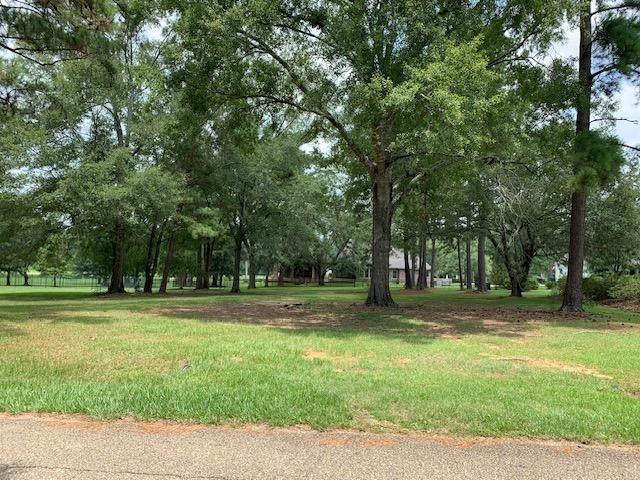 LOT110 Chinawood Dr, Abita Springs, LA 70420 - photo 1