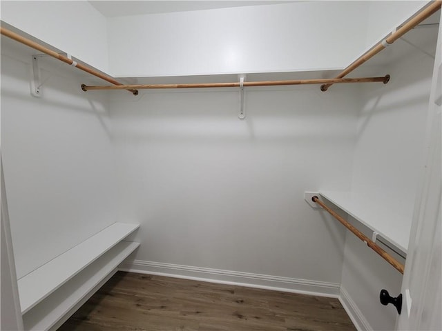 40153 Maison Lafitte Blvd, Ponchatoula, LA 70454 - spacious closet featuring dark wood finished floors
