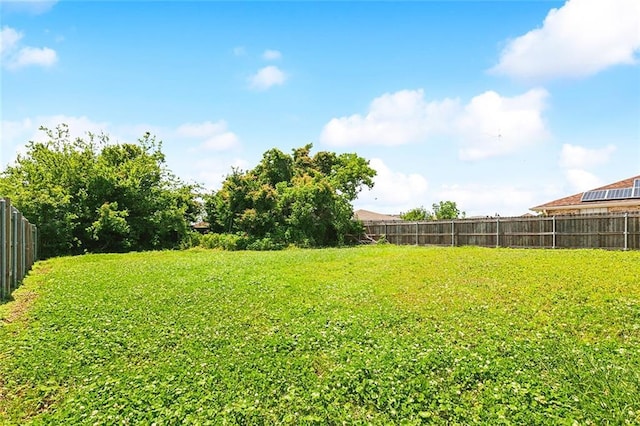 5736 E Louis Prima Dr, New Orleans, LA 70128 - view of yard
