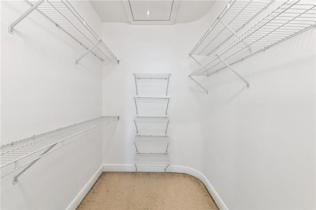 506 Papworth Ave, Metairie, LA 70005 - spacious closet with light colored carpet