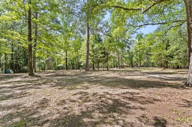121 Cemetery Rd, Tylertown, MS 39667 - photo 41