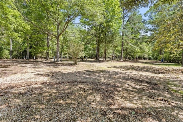 121 Cemetery Rd, Tylertown, MS 39667 - photo 49