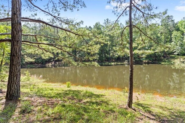 121 Cemetery Rd, Tylertown, MS 39667 - photo 50