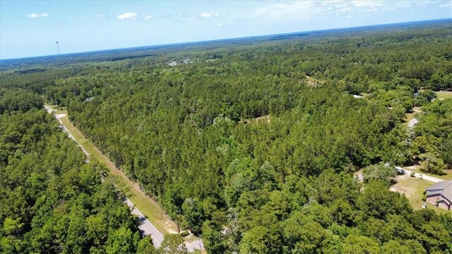 121 Cemetery Rd, Tylertown, MS 39667 - photo 53