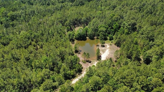 121 Cemetery Rd, Tylertown, MS 39667 - photo 57