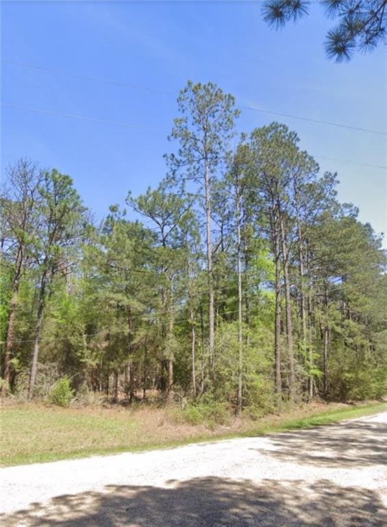 26069 Pineview Dr, Folsom, LA 70437