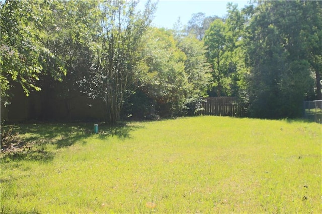 66165 Hickory Dr, Pearl River, LA 70452 - view of yard