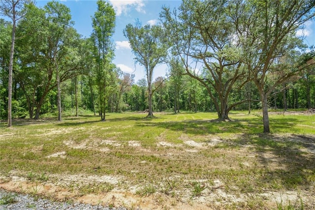 Allen Dr, Loranger, LA 70446 - photo 5