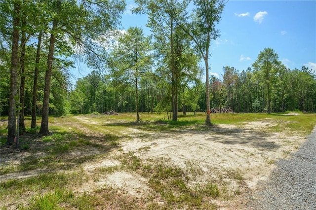 Allen Dr, Loranger, LA 70446 - photo 7