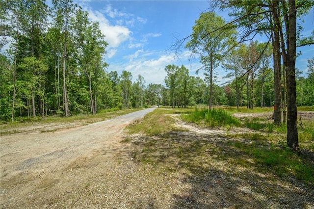 Allen Dr, Loranger, LA 70446 - photo 9