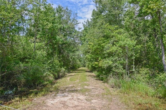 Allen Dr, Loranger, LA 70446 - photo 10