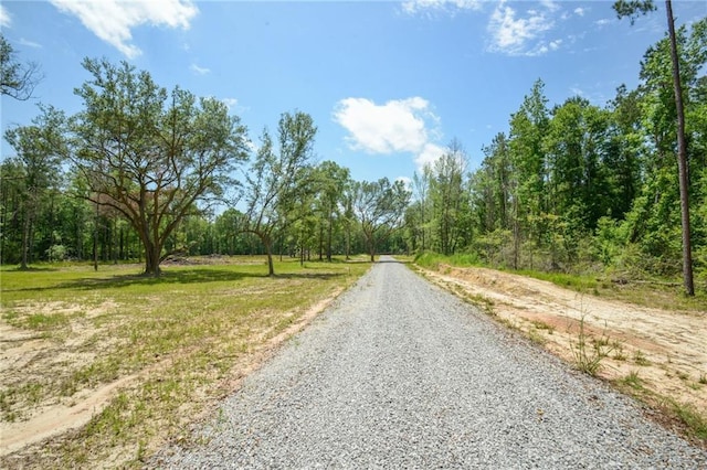 Allen Dr, Loranger, LA 70446 - photo 11