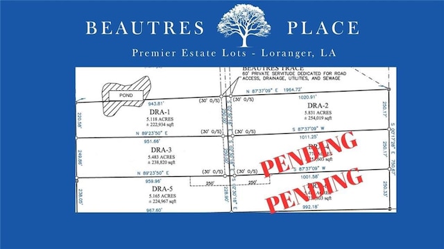 Allen Dr, Loranger, LA 70446 - photo 14