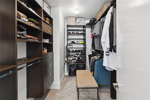 840 Tchoupitoulas St Unit 215, New Orleans, LA 70130 - walk in closet with light carpet