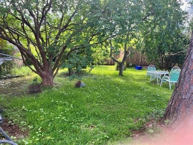 1329 Sigur Ave, Metairie, LA 70005 - view of yard