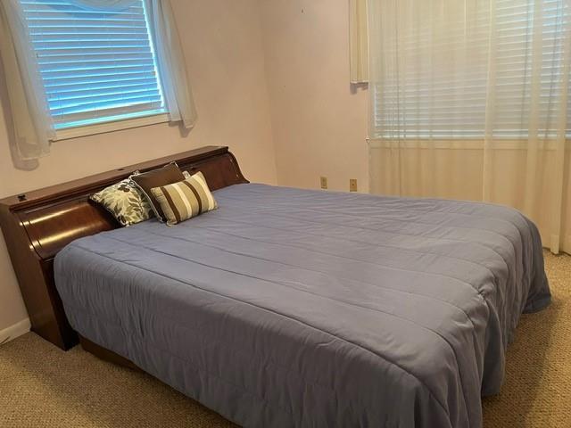 1329 Sigur Ave, Metairie, LA 70005 - view of carpeted bedroom