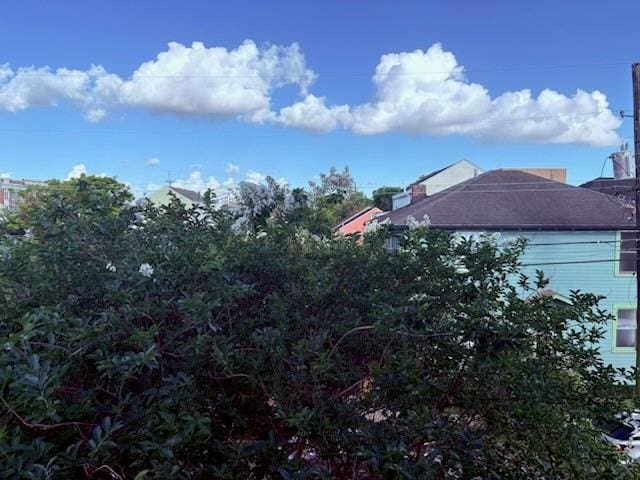 913 N Robertson St, New Orleans, LA 70116 - view of yard