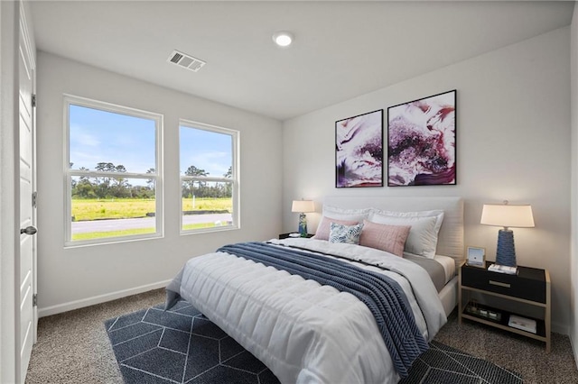 bedroom featuring dark colored carpet, multiple windows, and baseboards