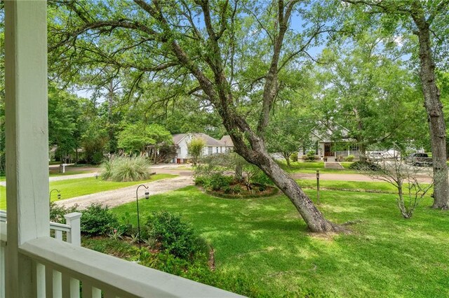 22236 8th St, Abita Springs, LA 70420 - view of green lawn