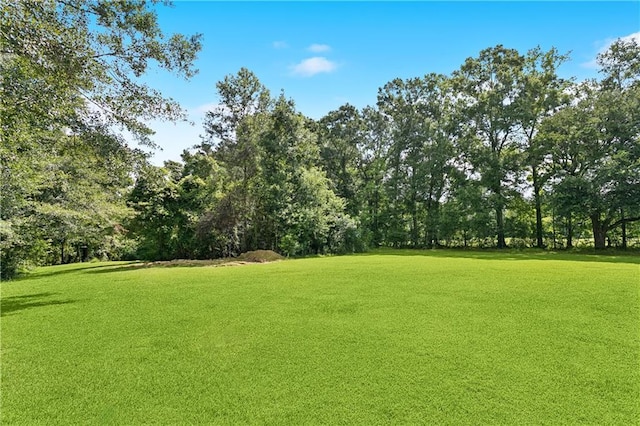 42073 Farlow Ln, Ponchatoula, LA 70454 - photo 14