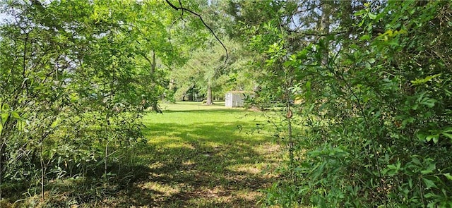 140 N 14th St, Ponchatoula, LA 70454 - view of grassy yard