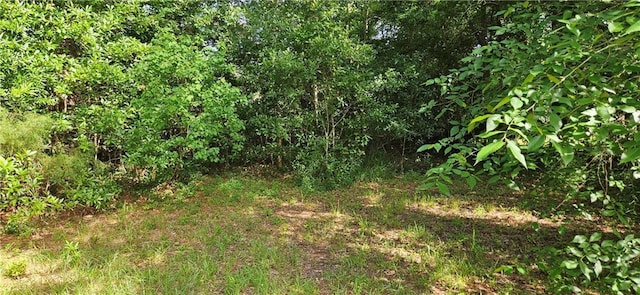 140 N 14th St, Ponchatoula, LA 70454 - view of nature
