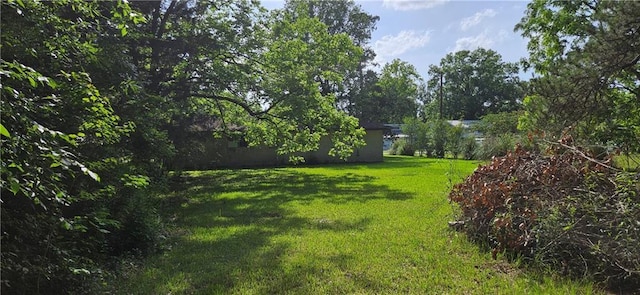 140 N 14th St, Ponchatoula, LA 70454 - view of green lawn