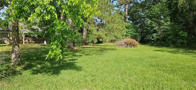 140 N 14th St, Ponchatoula, LA 70454 - view of grassy yard
