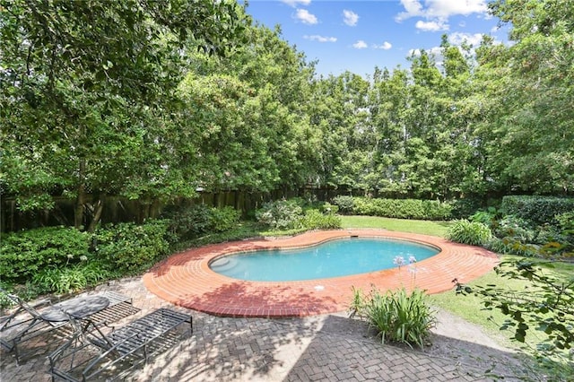 919 Robert St, New Orleans, LA 70115 - view of pool with a fenced backyard