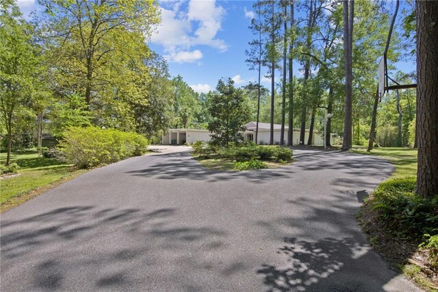 1450 Pine Tree Rd, Opelousas, LA 70570 - view of asphalt driveway