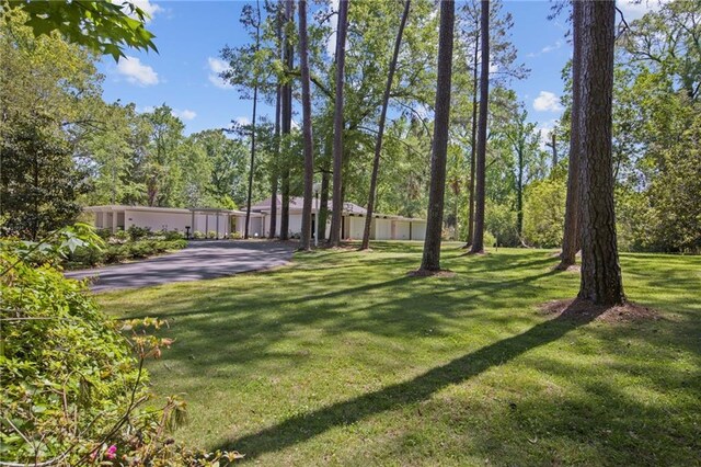 1450 Pine Tree Rd, Opelousas, LA 70570 - view of grassy yard