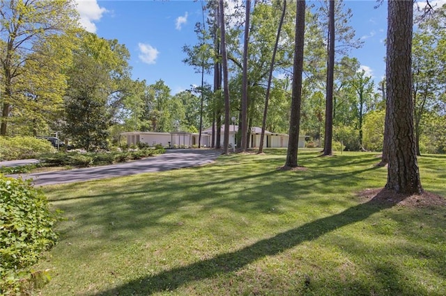 1450 Pine Tree Rd, Opelousas, LA 70570 - view of grassy yard