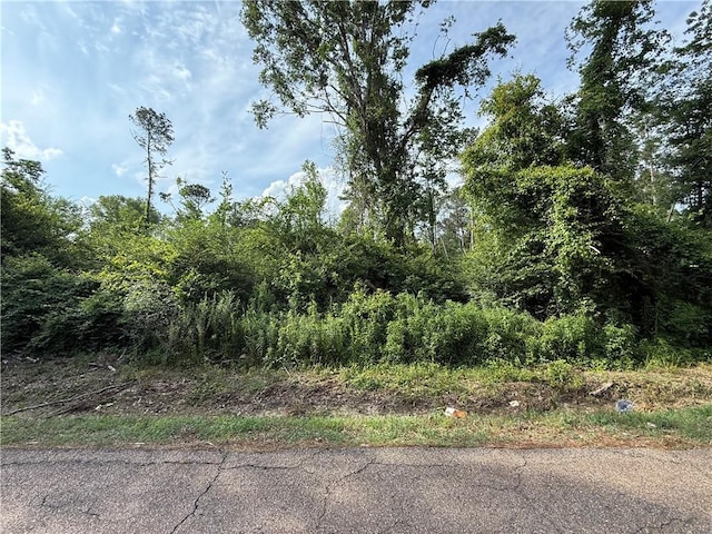 Seibert Rd, Roseland, LA 70456