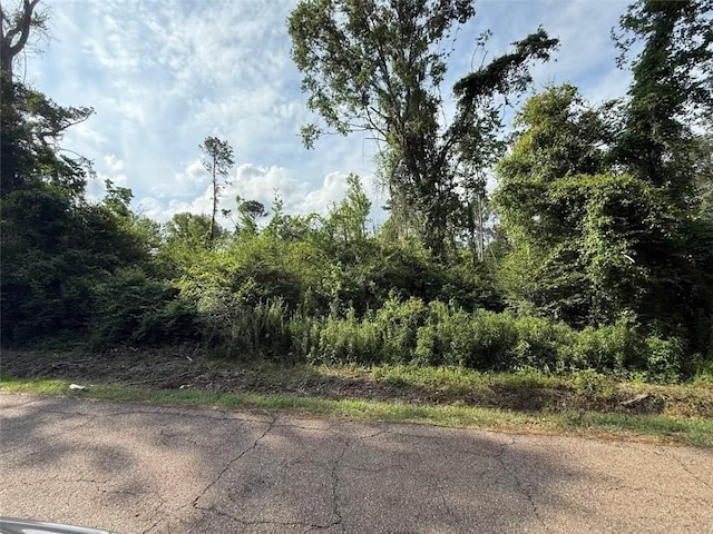 Seibert Rd, Roseland, LA 70456