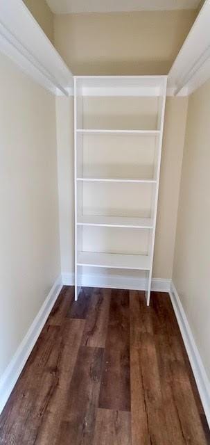 921 Andry St, New Orleans, LA 70117 - walk in closet featuring wood finished floors