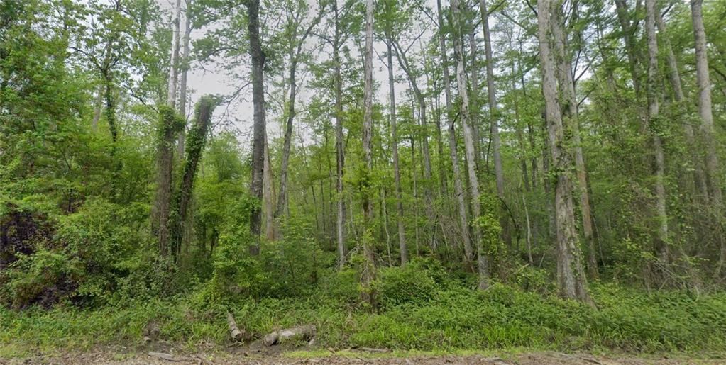 Traino Rd, Ponchatoula, LA 70454 - photo 1