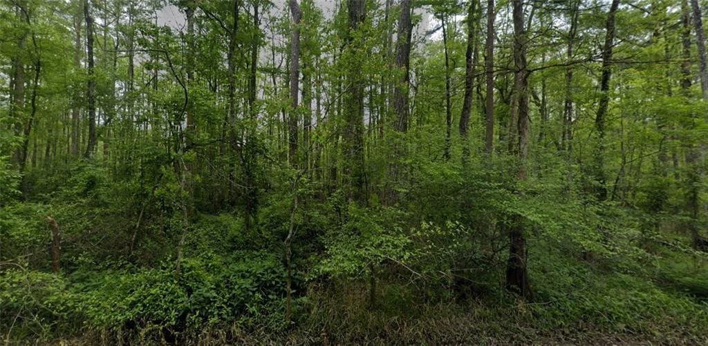 Traino Rd, Ponchatoula, LA 70454 - photo 2