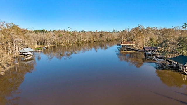 42 Riverdale Dr, Covington, LA 70433 - dock area featuring a view of trees and a water view