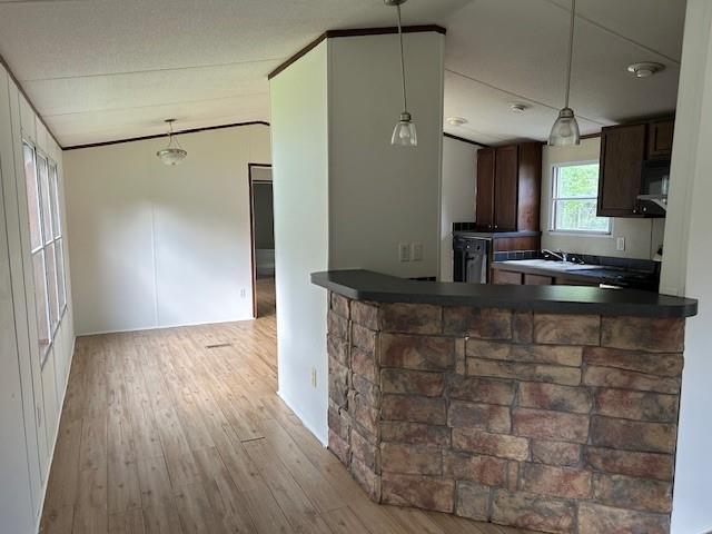 26214 E Sycamore St, Lacombe, LA 70445 - kitchen with wood finished floors, dark countertops, dark brown cabinetry, and decorative light fixtures