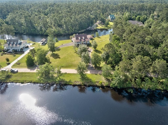 59394 E Harbor Ln, Lacombe, LA 70445 - view of property location with a forest and a large body of water