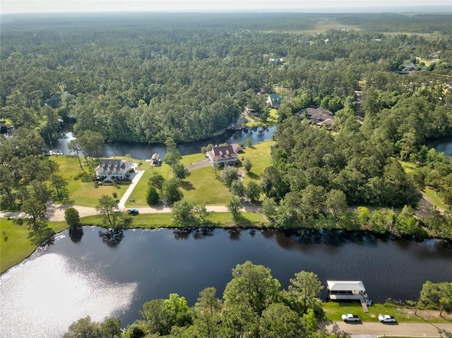 59394 E Harbor Ln, Lacombe, LA 70445 - bird's eye view of a forest and a nearby body of water