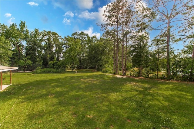 51075 Jenkins Ln, Tickfaw, LA 70466 - view of grassy yard
