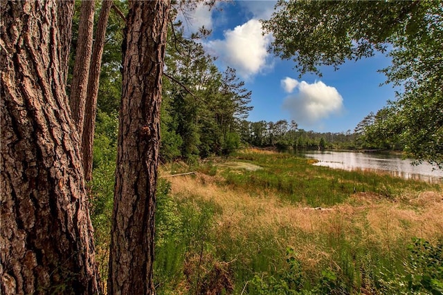 51075 Jenkins Ln, Tickfaw, LA 70466 - view of yard featuring a water view and a view of trees