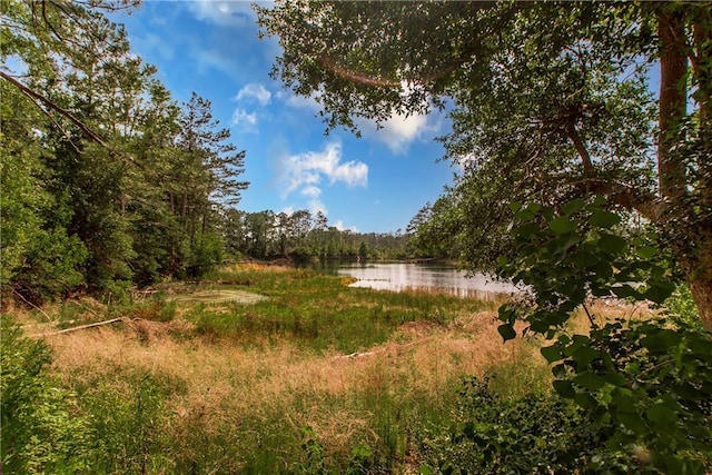 51075 Jenkins Ln, Tickfaw, LA 70466 - view of yard with a water view and a forest view