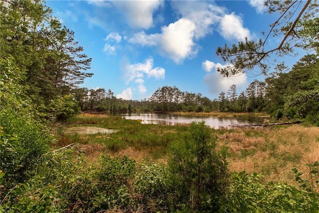 51075 Jenkins Ln, Tickfaw, LA 70466 - water view featuring a heavily wooded area