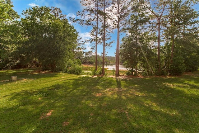 51075 Jenkins Ln, Tickfaw, LA 70466 - view of green lawn featuring a water view