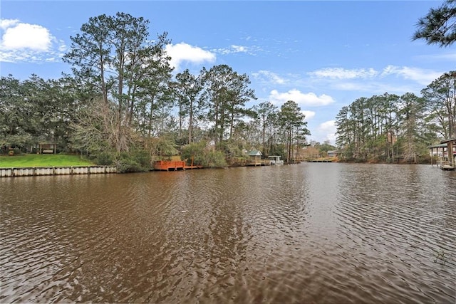 25 Woodvine Ct, Covington, LA 70433 - water view