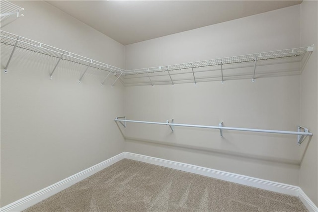 3133 Terrace Ave, Slidell, LA 70458 - walk in closet featuring carpet flooring