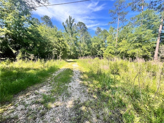 29386 Farwell Dr, Lacombe, LA 70445 - photo 1